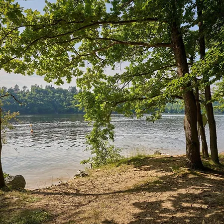 Роскошный шатер Glamping *